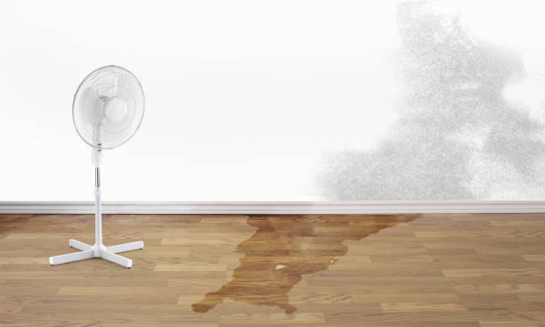  Gothenburg, NE Water damage restoration Pros