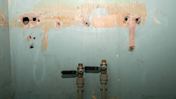Best Flood damage cleanup  in Gothenburg, NE