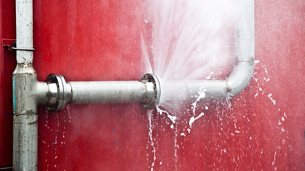 Best Basement water damage restoration  in Gothenburg, NE